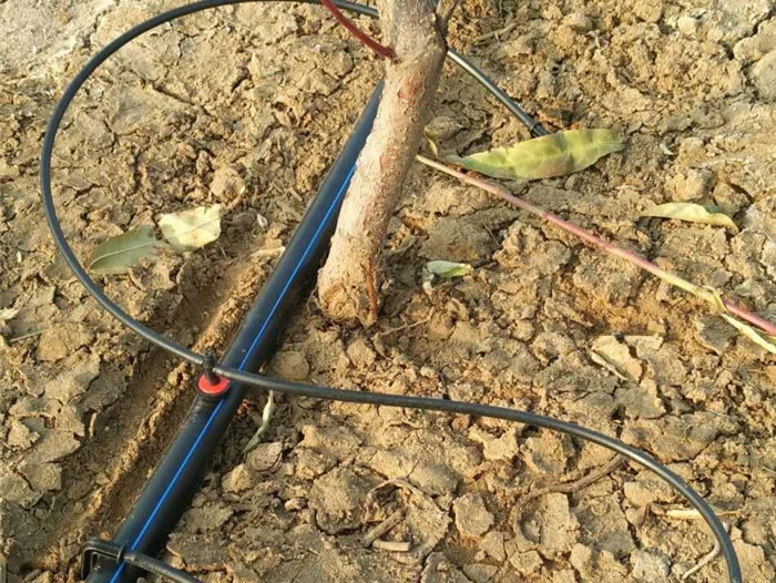 ����(sh��)�ιస��