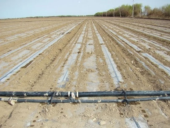 ����Ĥ�ιܾW(w��ng)ʩ��