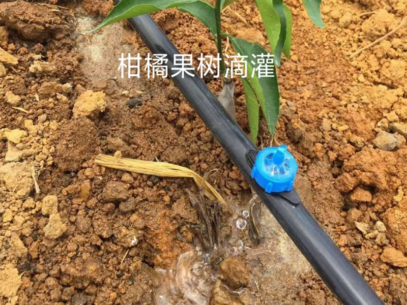 ���ٹ���(sh��)�ι�